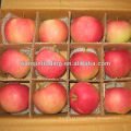 Shandong apple